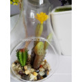 hot sale artificial mini green succulent plant ornamental